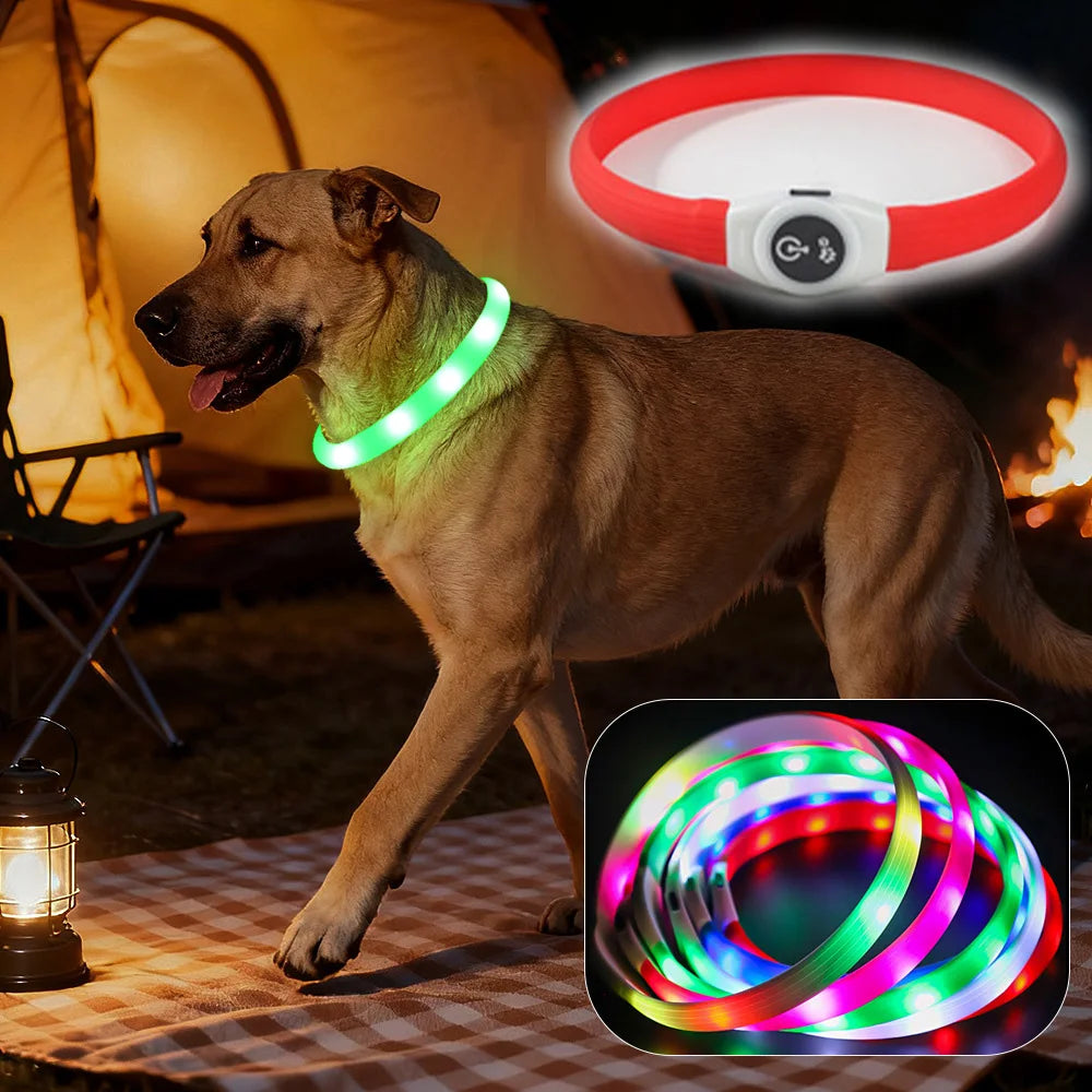 LED Illuminated Dog Collar, Waterproof PVC Material, With USB Interface, 3 Modes, Suitable for Large, Medium And Small Dogs.