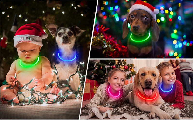 Luminous Dog Collar Light Charge Cat Necklace, Led Fashion Flashing DIY Glowing Safety Collar for Dogs Nighttime Pet Accessorie