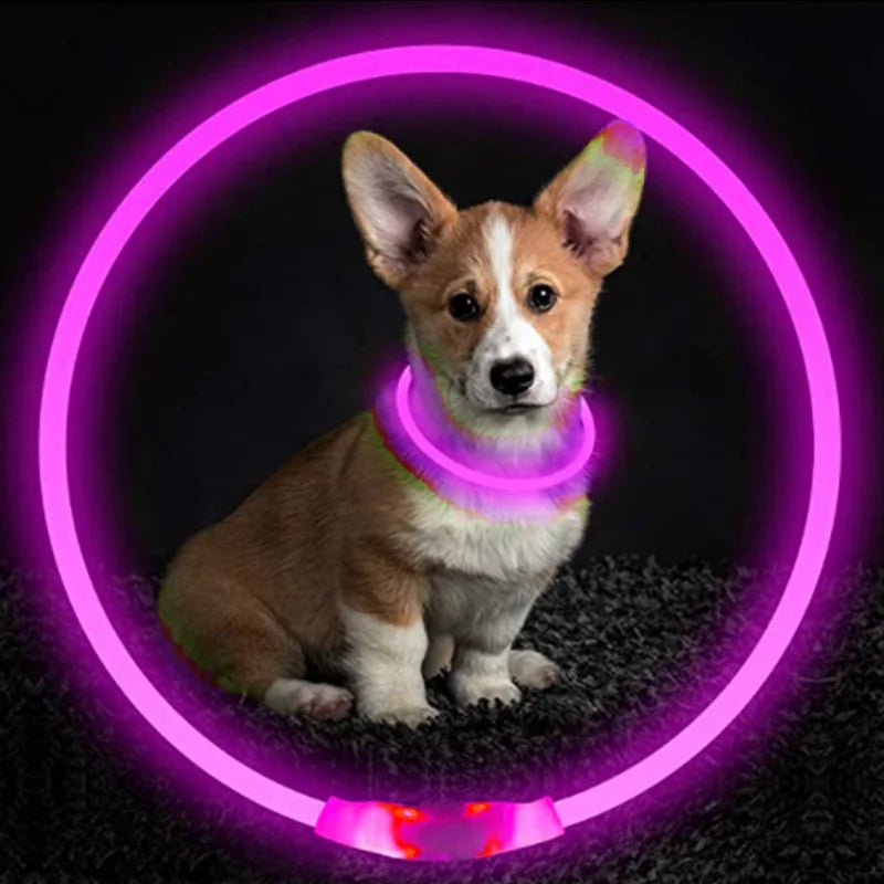 Luminous Dog Collar Light Charge Cat Necklace, Led Fashion Flashing DIY Glowing Safety Collar for Dogs Nighttime Pet Accessorie