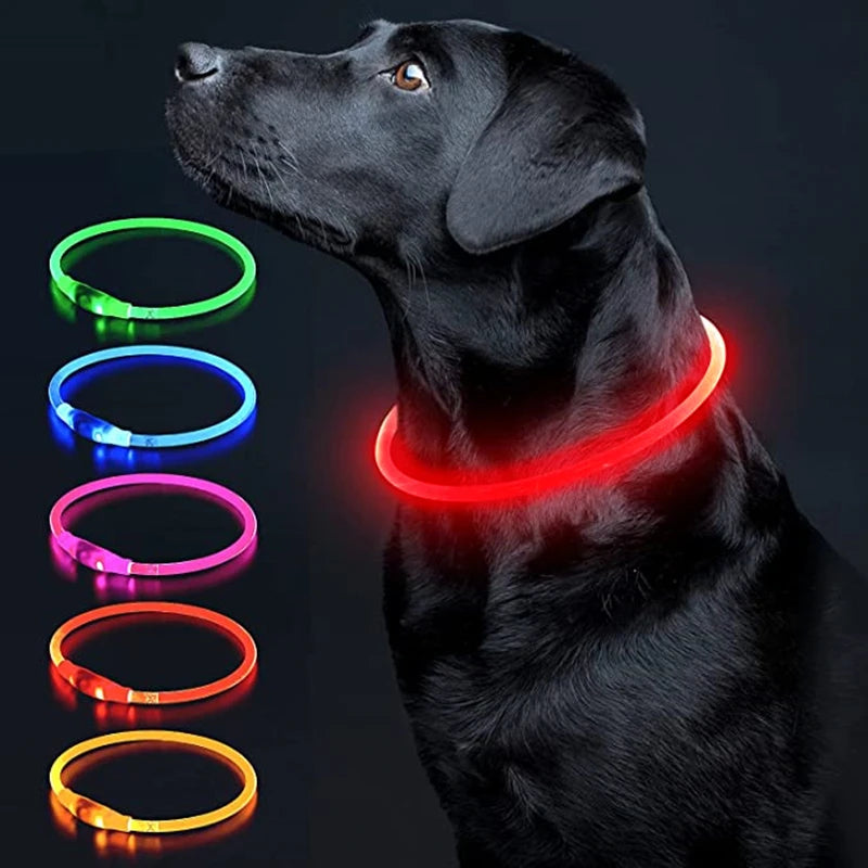 Luminous Dog Collar Light Charge Cat Necklace, Led Fashion Flashing DIY Glowing Safety Collar for Dogs Nighttime Pet Accessorie