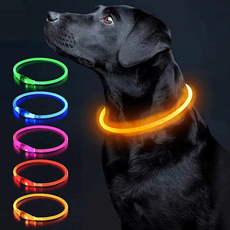 Luminous Dog Collar Light Charge Cat Necklace, Led Fashion Flashing DIY Glowing Safety Collar for Dogs Nighttime Pet Accessorie