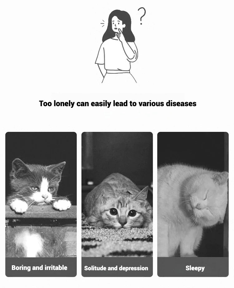 Laser Cat Toy USB Rechargeable Interactive Pet Light Stick Multi Pattern Infrared Pointer Funny Cat Chaser Exercise Training Toy