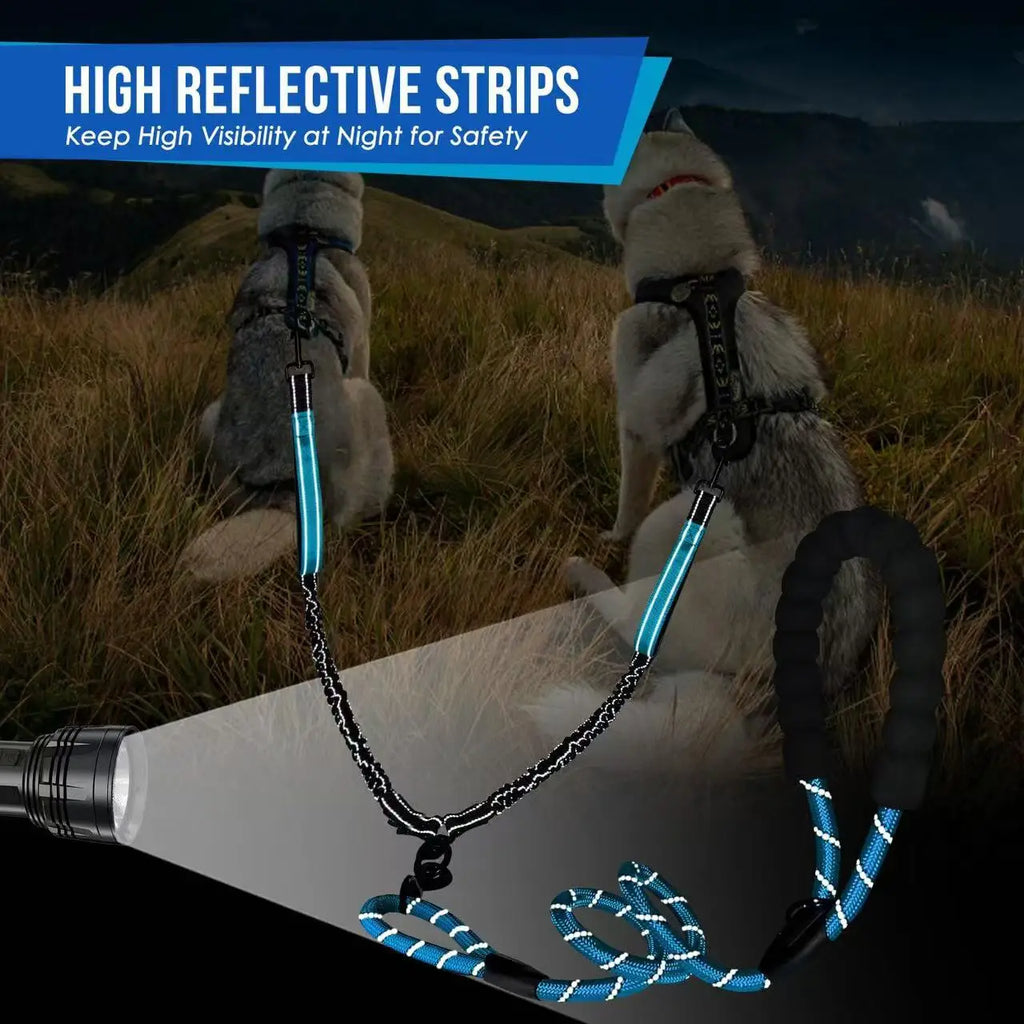 Reflective Double Dog Leash with Two Extra Traffic Handles: 360 Swivel No Tangle Dual Dog Walking Leash, Comfortable Shock Absor