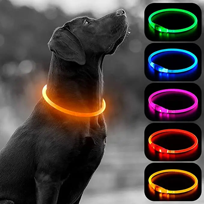 Luminous Dog Collar Light Charge Cat Necklace, Led Fashion Flashing DIY Glowing Safety Collar for Dogs Nighttime Pet Accessorie