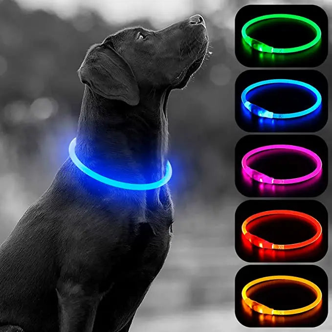 Luminous Dog Collar Light Charge Cat Necklace, Led Fashion Flashing DIY Glowing Safety Collar for Dogs Nighttime Pet Accessorie