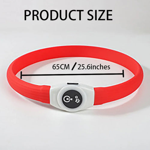 Collare LED Impermeabile per Cani in PVC - 3 Modalità Luce USB Ricaricabile