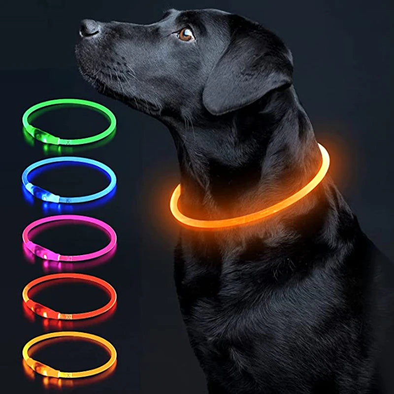 Luminous Dog Collar Light Charge Cat Necklace, Led Fashion Flashing DIY Glowing Safety Collar for Dogs Nighttime Pet Accessorie
